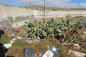 El peligro de incendio acecha a El Cubillo/TA.
